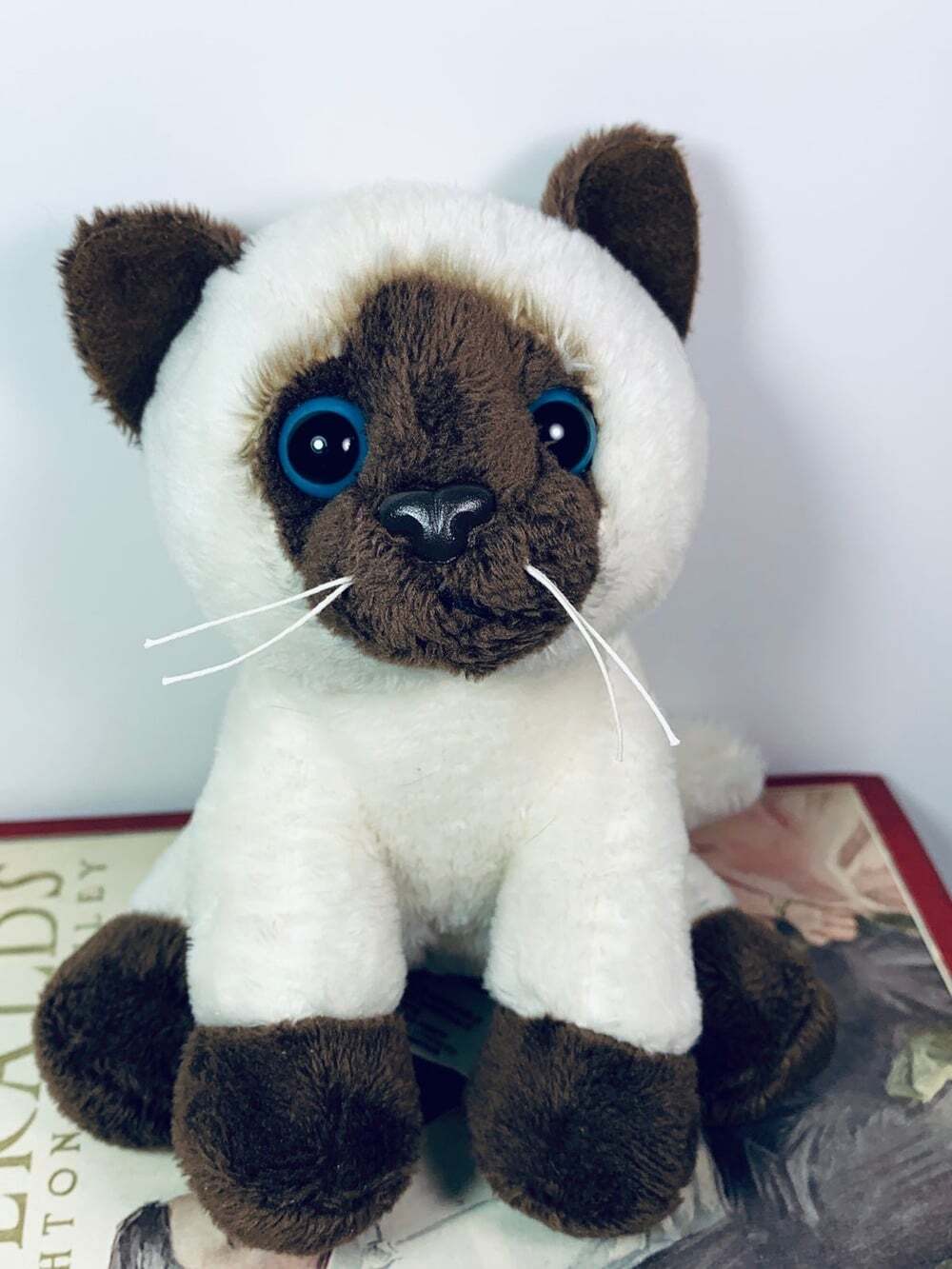 Siamese Kitten blue eyes GANZ Get your Hands on a GANZ plush stuffed cat